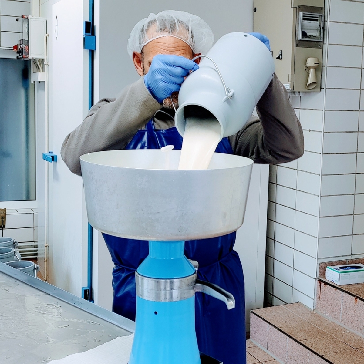 Die Milch Jungs