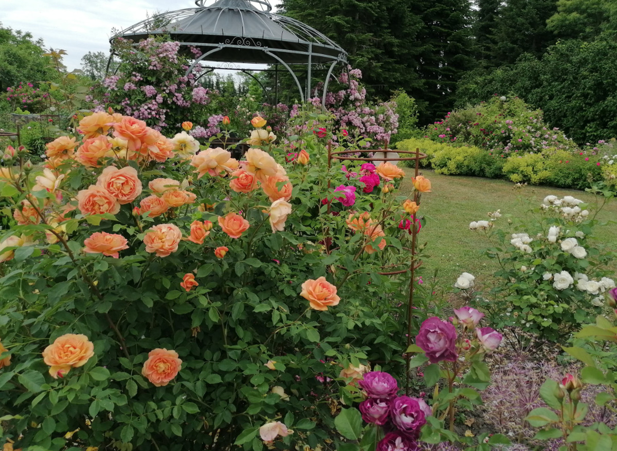Rosengarten