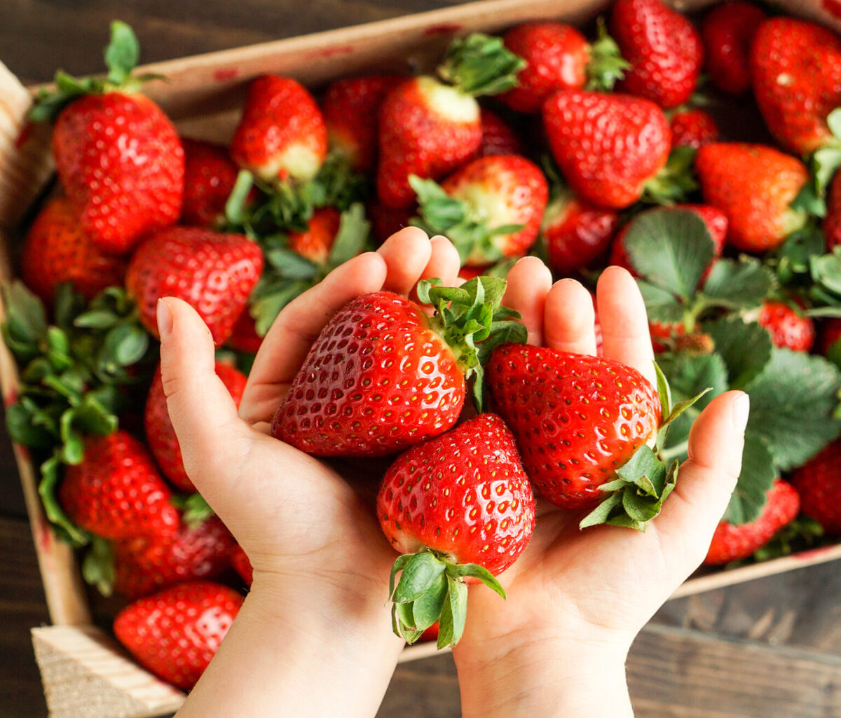 Beeren und Spargelhof Trocke 