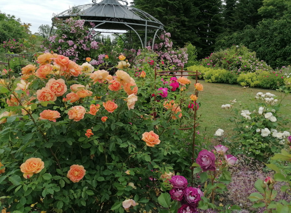 Rosengarten